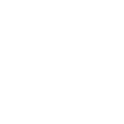 experience icon