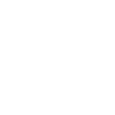 expert-icon